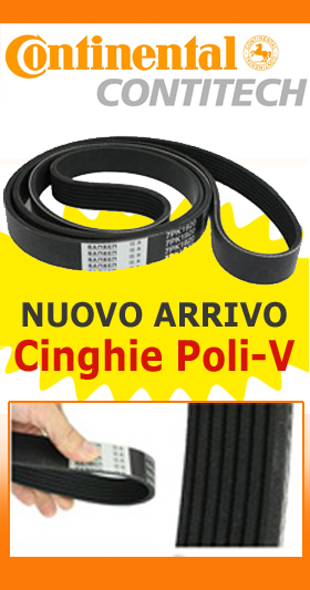 CINGHIE-POLI-V