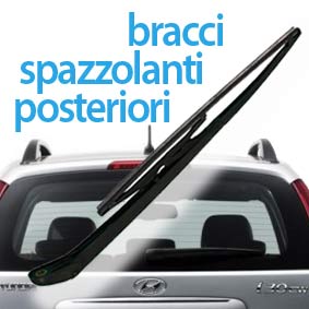 BRACCI SPAZZOLANTI POSTERIORI